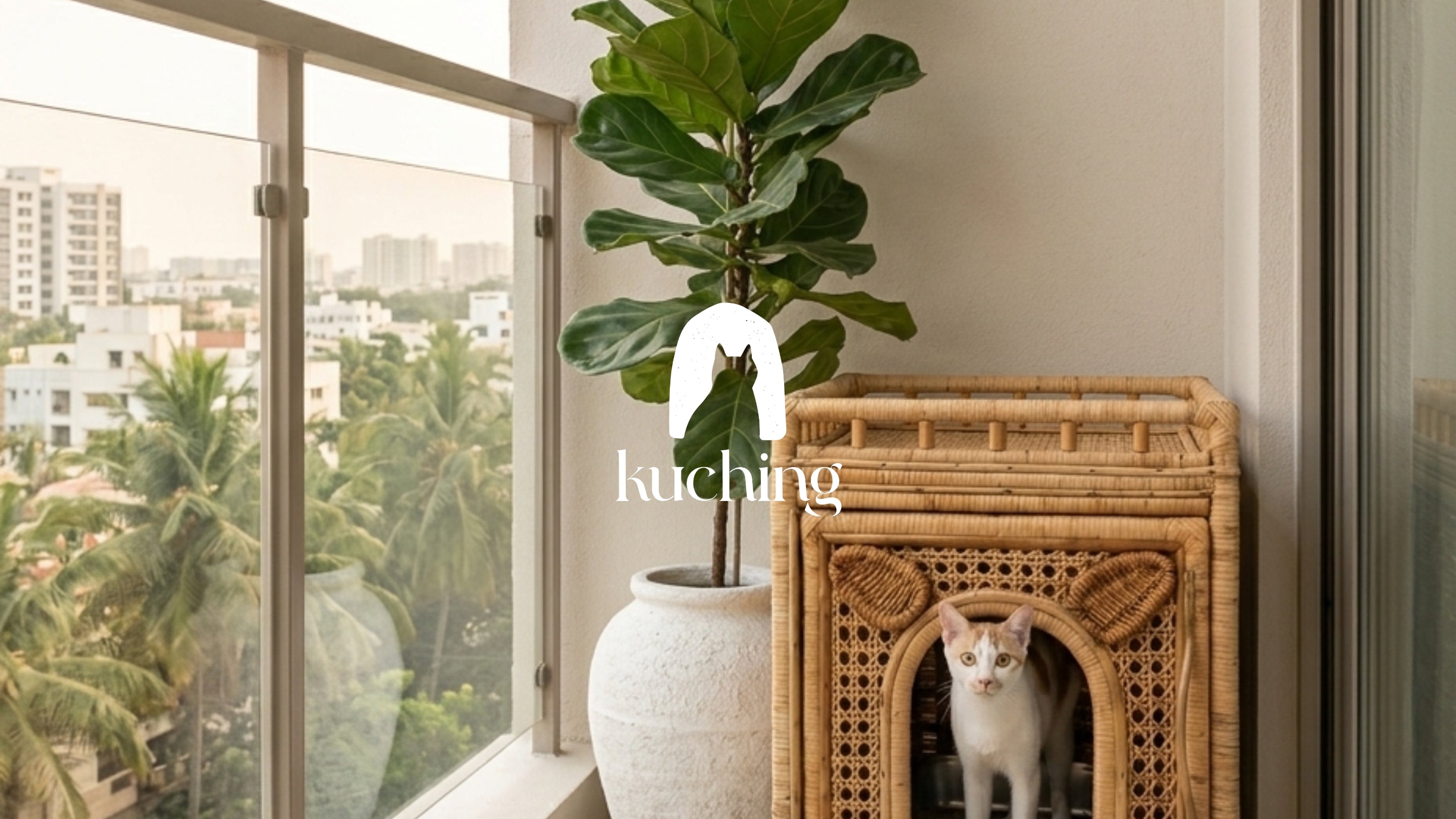 Find things that belong to your cat