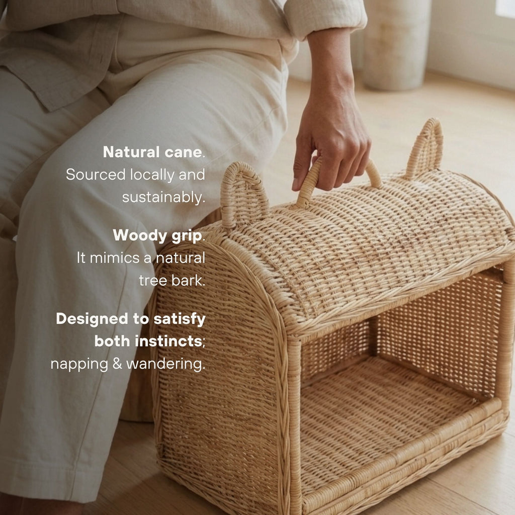 A natural woven rattan pet crate with cat-ear handles sits on a wooden floor next to a person wearing beige loungewear, with descriptive text overlay on the left.