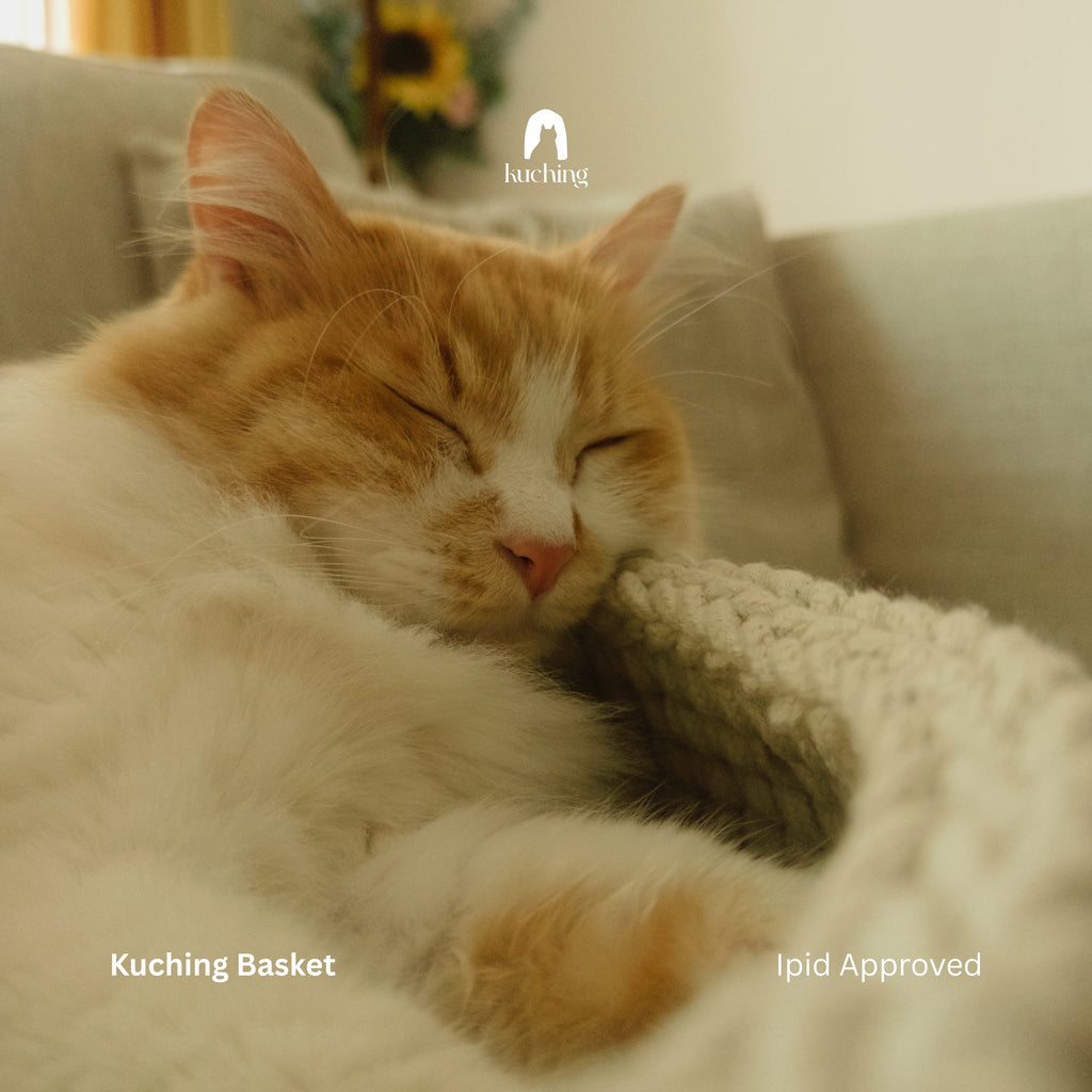A sleeping orange and white cat resting on a light-colored sofa, nestled in a soft cream knit blanket. The image has a warm, cozy aesthetic with text overlays reading 'kuching Basket' and 'Ipid Approved' at the bottom, and a logo at the top.