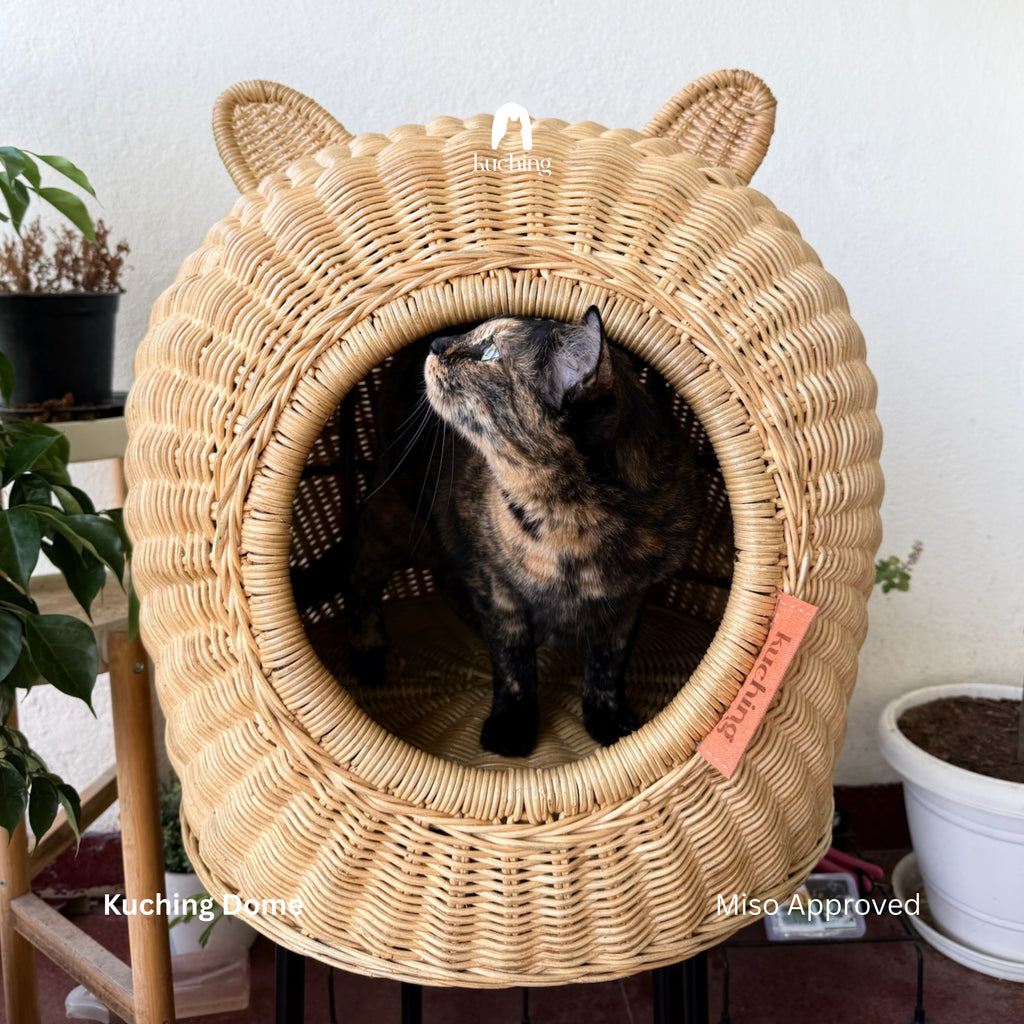A tortoiseshell cat sits inside a Kuching Dome - round woven rattan cat house with cat ears on top, photographed indoors against a white wall with potted plants nearby.
