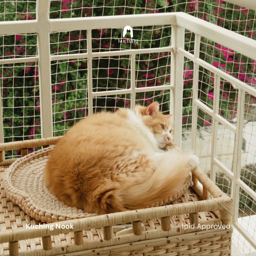 An orange and white cat rests curled up on a woven round mat inside a white wicker pet crate with mesh fencing. The background shows green foliage with pink flowers.